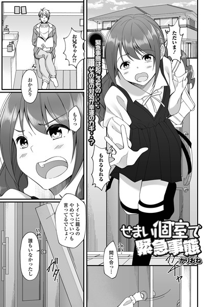 b164aisis04146【エロ漫画ダウンロード】せまい個室で緊急事態 | 作家:かりおね